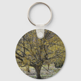 Cornelian Cherry Dogwood and Glory of the Snow Keychain
