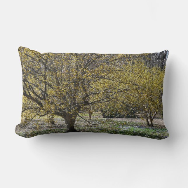 Cornelian Cherry Dogwood and Glory of the Snow Lumbar Pillow (Front)