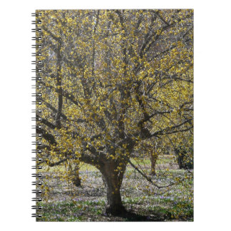 Cornelian Cherry Dogwood and Glory of the Snow Notebook