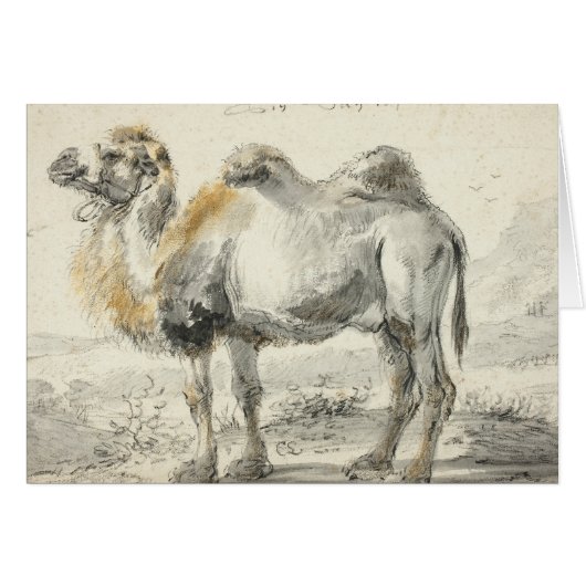 Cornelis Saftleven - A Camel (Front Horizontal)