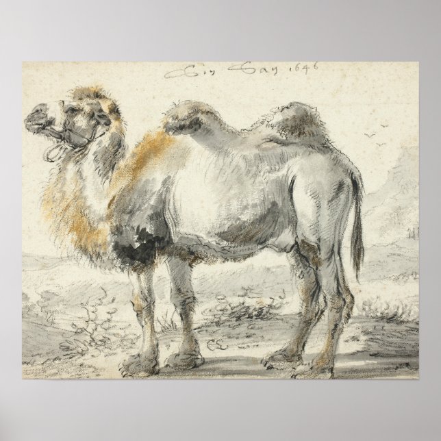 Cornelis Saftleven - A Camel Poster (Front)