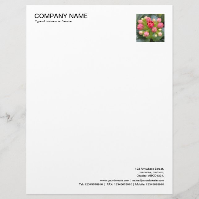 Corner Photo - Kalanchoe Buds Letterhead (Front)