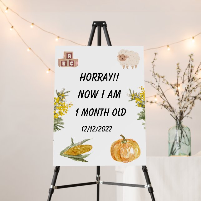 CornerStyle: Square, Mounting Option: None Foam Co Board (In Situ (Stand))