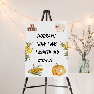 CornerStyle: Square, Mounting Option: None Foam Co Foam Board