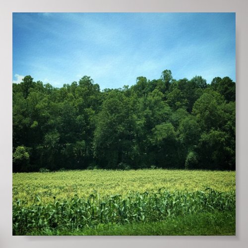 Cornfield in Rural North Carolina Poster