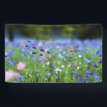 Cornflower Blue Banner