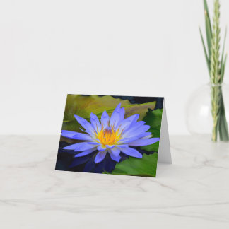 Cornflower Blue Big Water Lily Note Greeting Cards