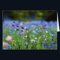 Cornflower Blue Card