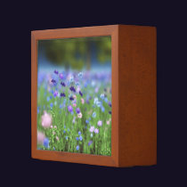 Cornflower Blue Desk Organizer