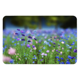 Cornflower Blue Flexible Magnet