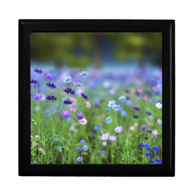 Cornflower Blue Jewelry Box (Front)