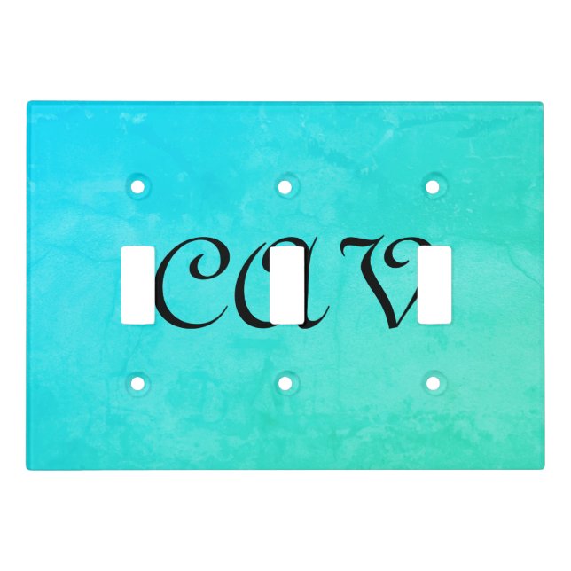 Cornflower Blue  Light Switch Cover (Front)