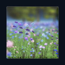 Cornflower Blue Magnet