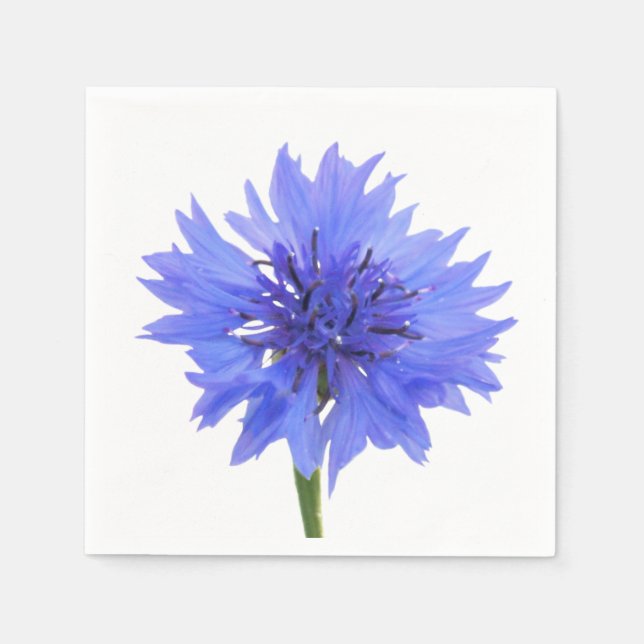 cornflower blue napkins (Front)