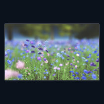 Cornflower Blue Stickers