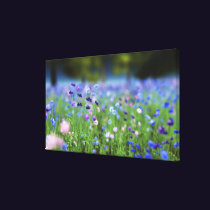 Cornflower Blue Wrapped Canvas