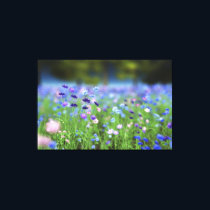 Cornflower Blue Wrapped Canvas Print