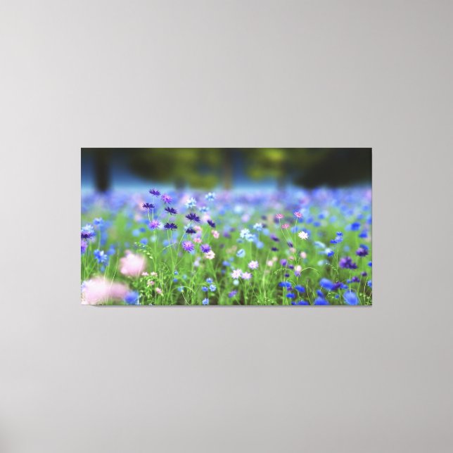 Cornflower Blue Wrapped Canvas Print (Front)
