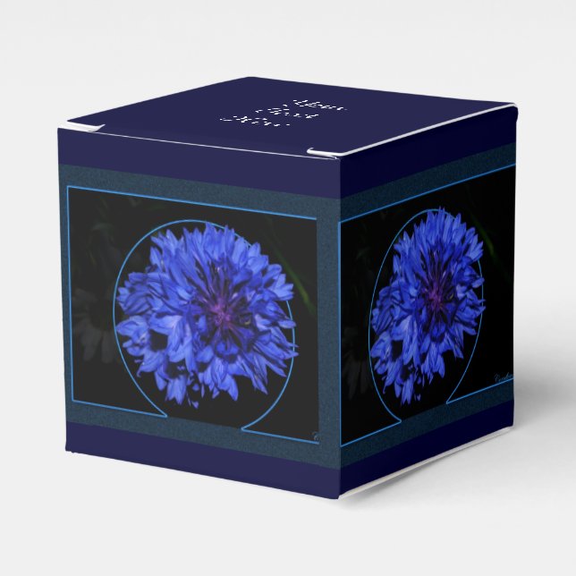Cornflower Favor Boxes (Front Side)