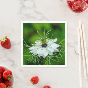 Cornflower Paper Napkins