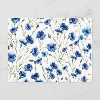 cornflower postcard