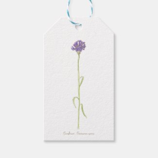 Cornflower watercolor  gift tags