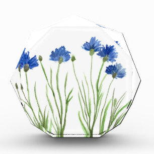 Cornflowers blue floral watercolor rustic chic award