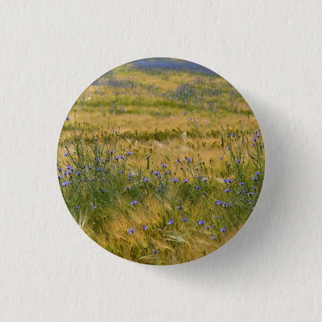 Cornflowers Field      Button (Front)