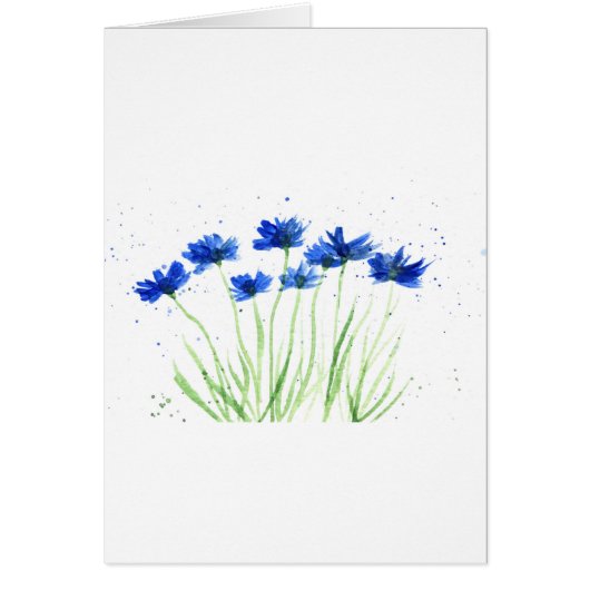 Cornflowers flowers cards (Front)
