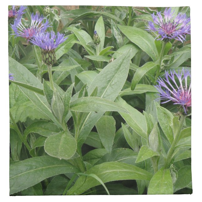 Cornflowers Napkin (Front)