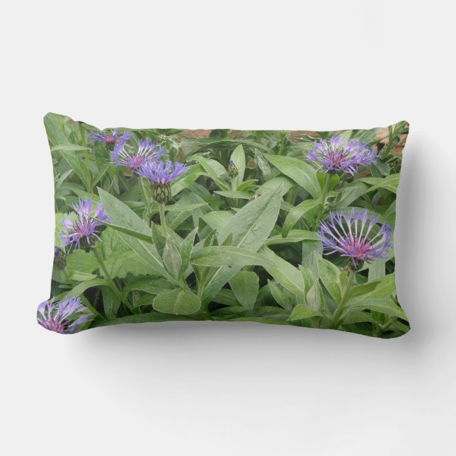 Cornflowers Pillow (Front)