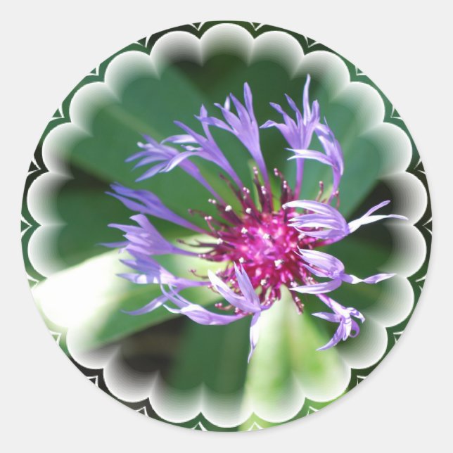 Cornflowers Sticker (Front)