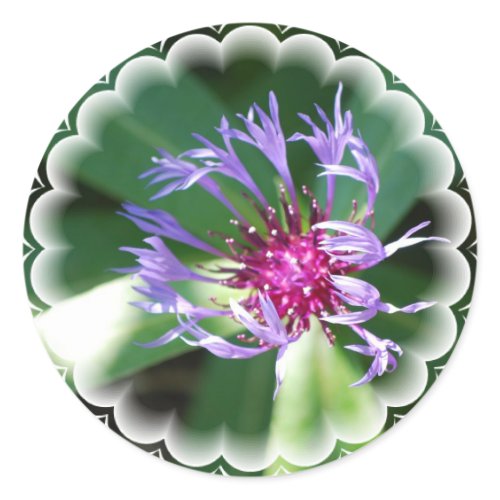 Cornflowers Sticker