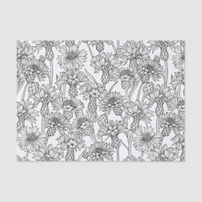 Cornflowers, wild flowers in black and white tissue paper (Front)