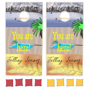 Cornhole Set Winter Summer Fall You are  here!