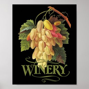 Cornichons Blancs Grapes Poster by EnKore at Zazzle