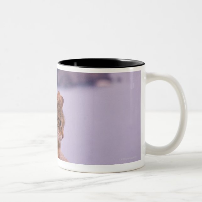Corniglia, Cinque Terre, Italy Two-Tone Coffee Mug (Right)