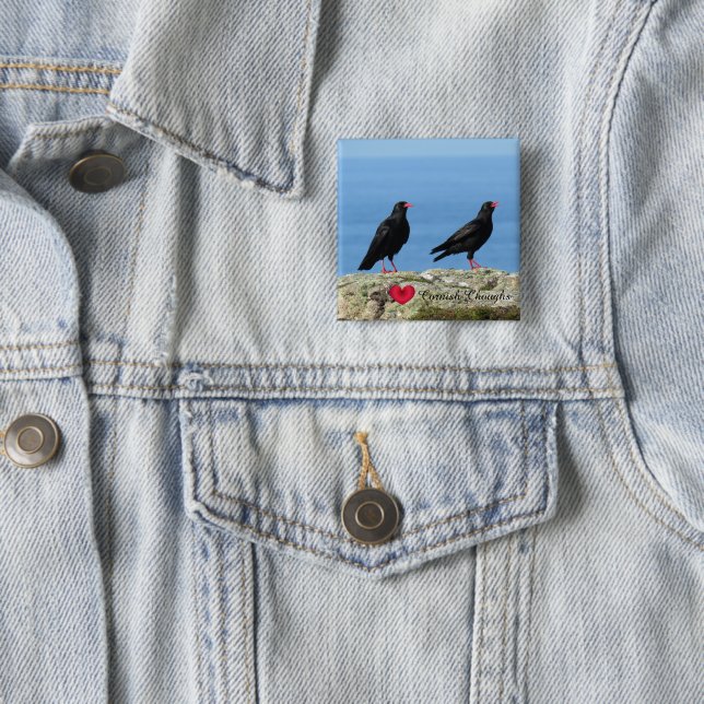 Cornish Choughs (Palores) Pyrrhocorax pyrrhocorax Button (In Situ)