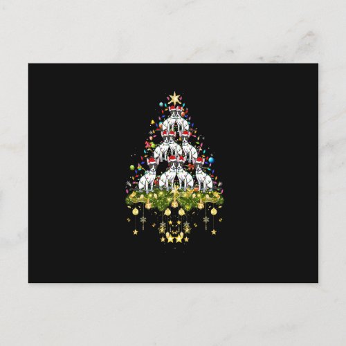 Cornish Rex Cat Christmas Tree Lights Funny Xmas L Postcard