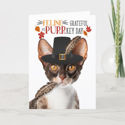 Cornish Rex Cat Feline Grateful for PURRkey Day Holiday Card