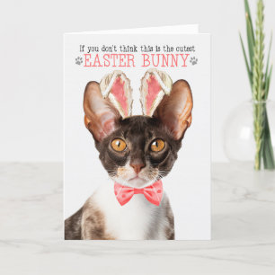 Cornish Rex Cat in Bunny Ears for Easter Holiday Card
