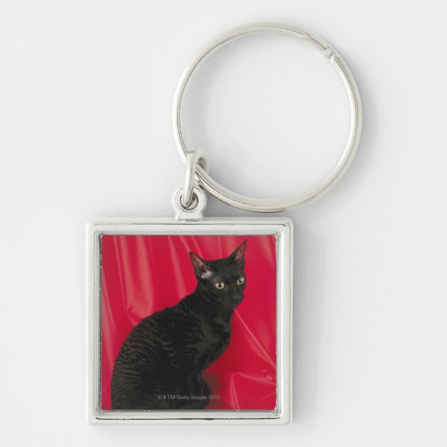 Cornish rex cat keychain (Front)
