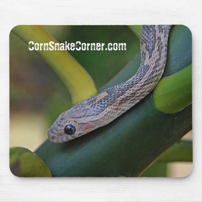 CornSnakeCorner Mousepad (Front)