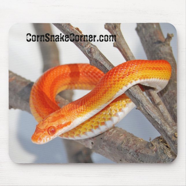 CornSnakeCorner Mousepad (Front)