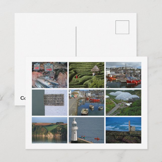 Cornwall Postcard (Front/Back)