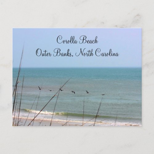 Corolla Beach OBX Postcard