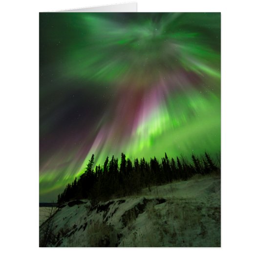 Corona Aurora (Front)