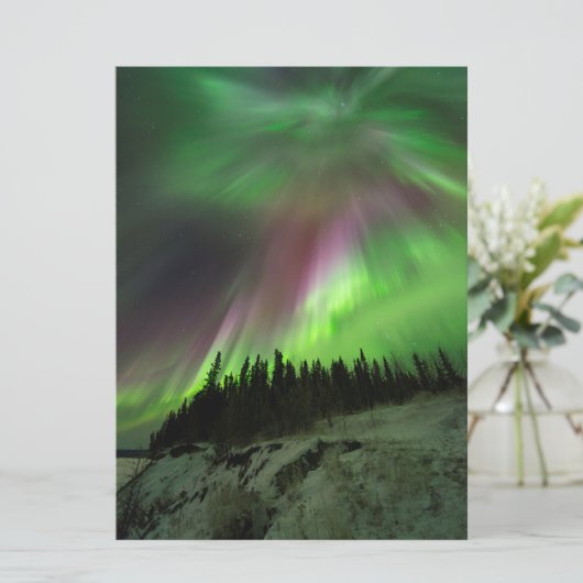 Corona Aurora (Standing Front)