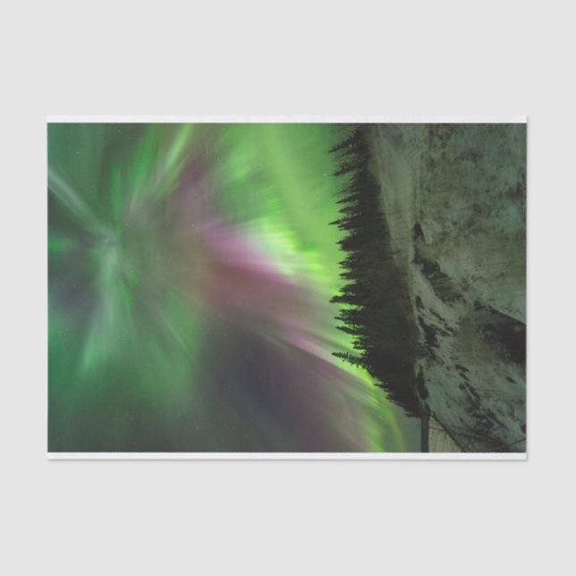 Corona Aurora Tissue Paper (Front)