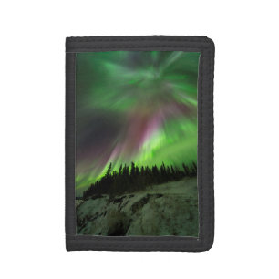 Corona Aurora Trifold Wallet
